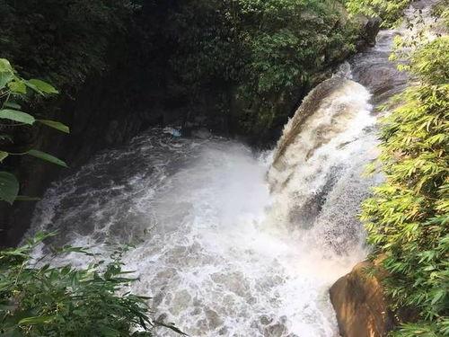 网友爆料山洪视频播放网站,惊险山洪视频曝光，网络平台引发热议